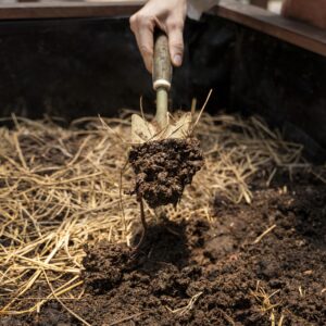 high angle hand holding trowel 2