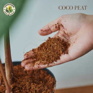 coco peat – urvara (उर्वरा)